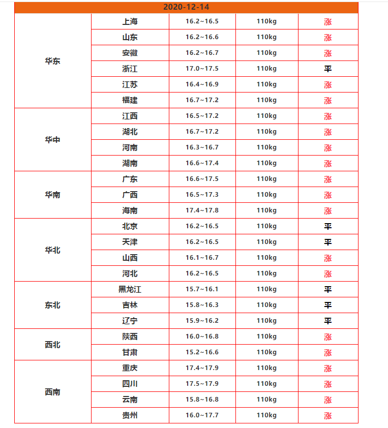 明日最新豬價(jià)網(wǎng)，洞悉市場動(dòng)態(tài)，掌握行業(yè)趨勢領(lǐng)航先鋒