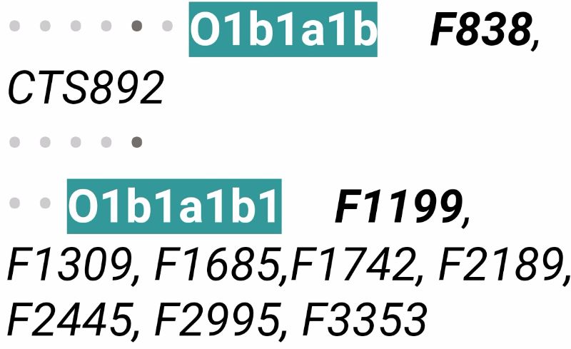 關(guān)于99ff9的最新探索與發(fā)現(xiàn)揭秘