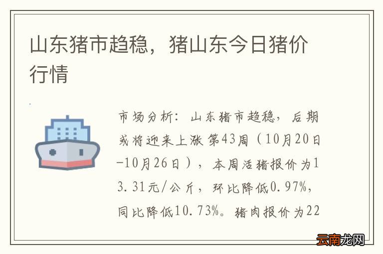 山東最新豬市行情深度解析