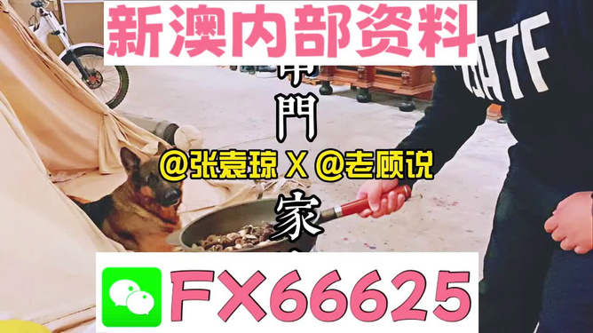 新澳門精準(zhǔn)資料大全管家婆料｜精準(zhǔn)解答解釋落實(shí)