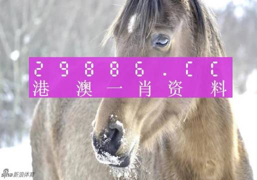 澳門一肖一碼100%期期精準(zhǔn)／98期｜統(tǒng)計評估解析說明