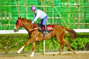 澳門今晚開特馬四不像圖｜詮釋解析落實