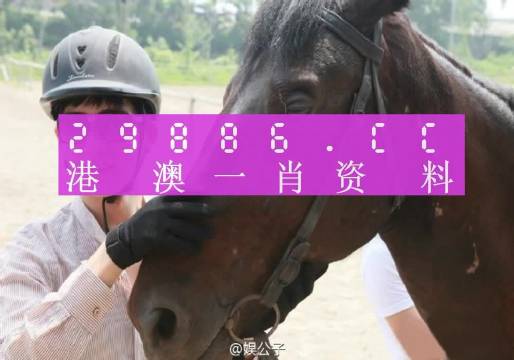 澳門(mén)一肖一碼一待一中｜最佳精選解釋定義