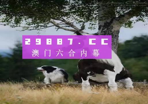 澳門天天好好兔費資料｜全面把握解答解釋策略