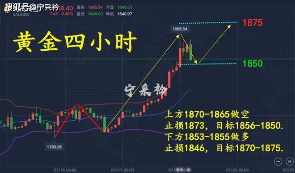 香港今晚必開一肖,平衡策略實施_MT46.783