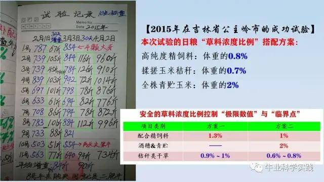 一碼一肖100%精準(zhǔn),調(diào)整方案執(zhí)行細(xì)節(jié)_WP版53.732