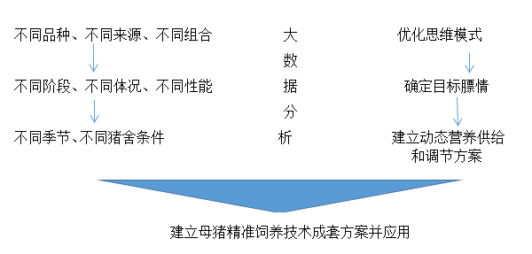 白小姐449999精準(zhǔn)一句詩(shī),效率資料解釋定義_CT64.262