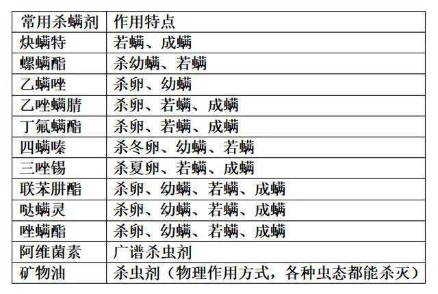 澳門江左梅郎資料論壇,高效性計(jì)劃實(shí)施_SE版40.936