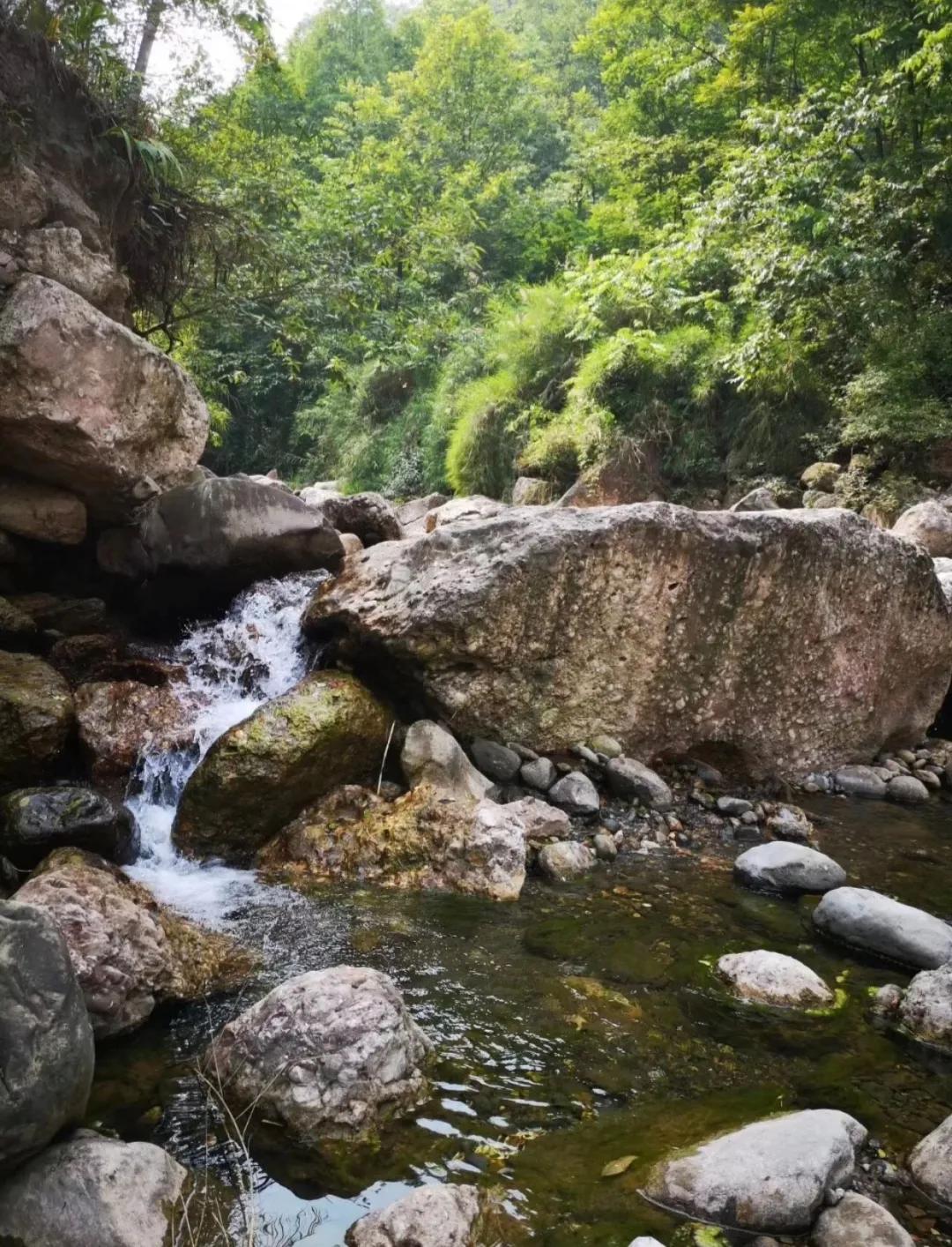 探索與發(fā)現(xiàn)，最新地址蝌蚪的奧秘