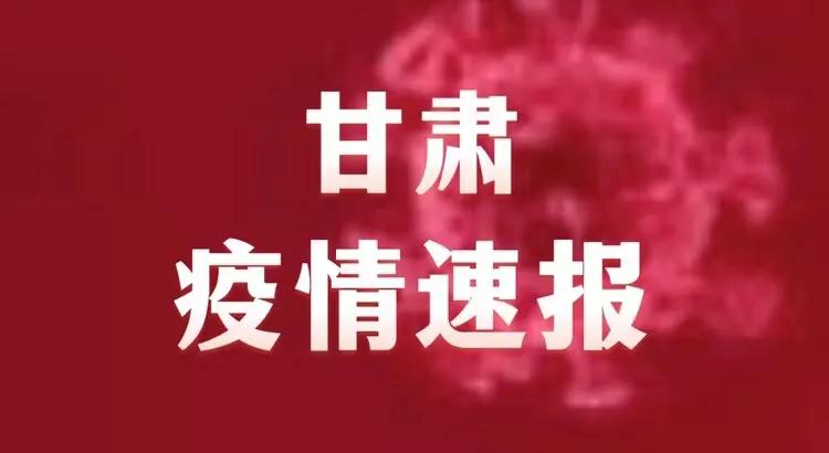 甘肅地區(qū)肺炎疫情最新通報與深度解析