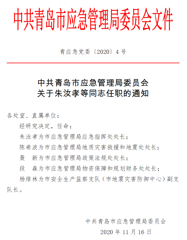 新邱區(qū)應(yīng)急管理局人事大調(diào)整，構(gòu)建更強(qiáng)大的應(yīng)急管理體系